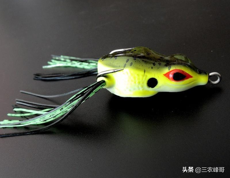 钓黑鱼正确方法,钓黑鱼的方法与技巧用路亚