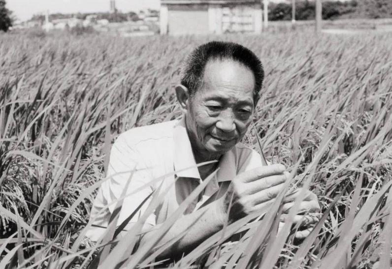 五月再见六月你好往事不回头,四月再见五月你好余生不将就