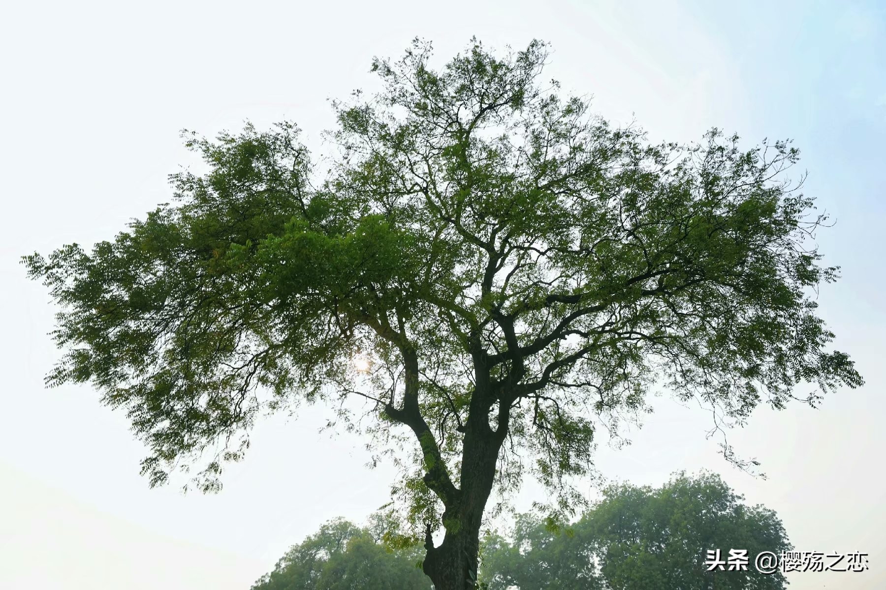 佛教第一圣地,佛教主要圣地