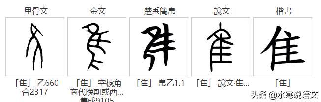 鸟字和乌字有什么区别,乌字与鸟字有什么区别