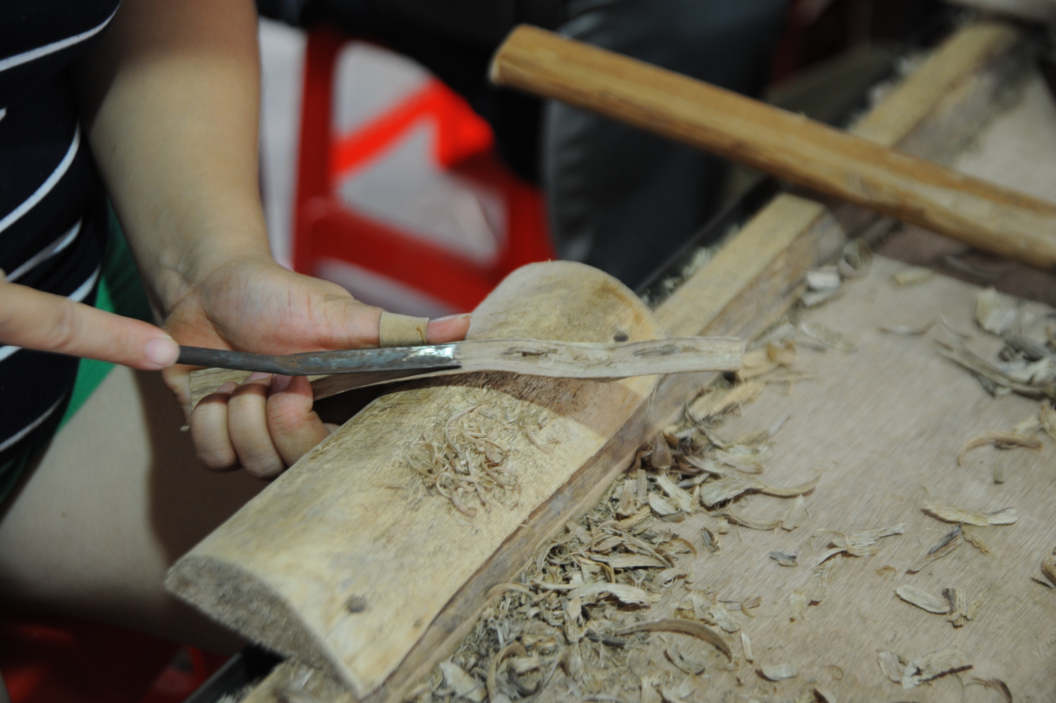 身价过亿的沉香种植小伙子,小伙投资五百万种300亩沉香