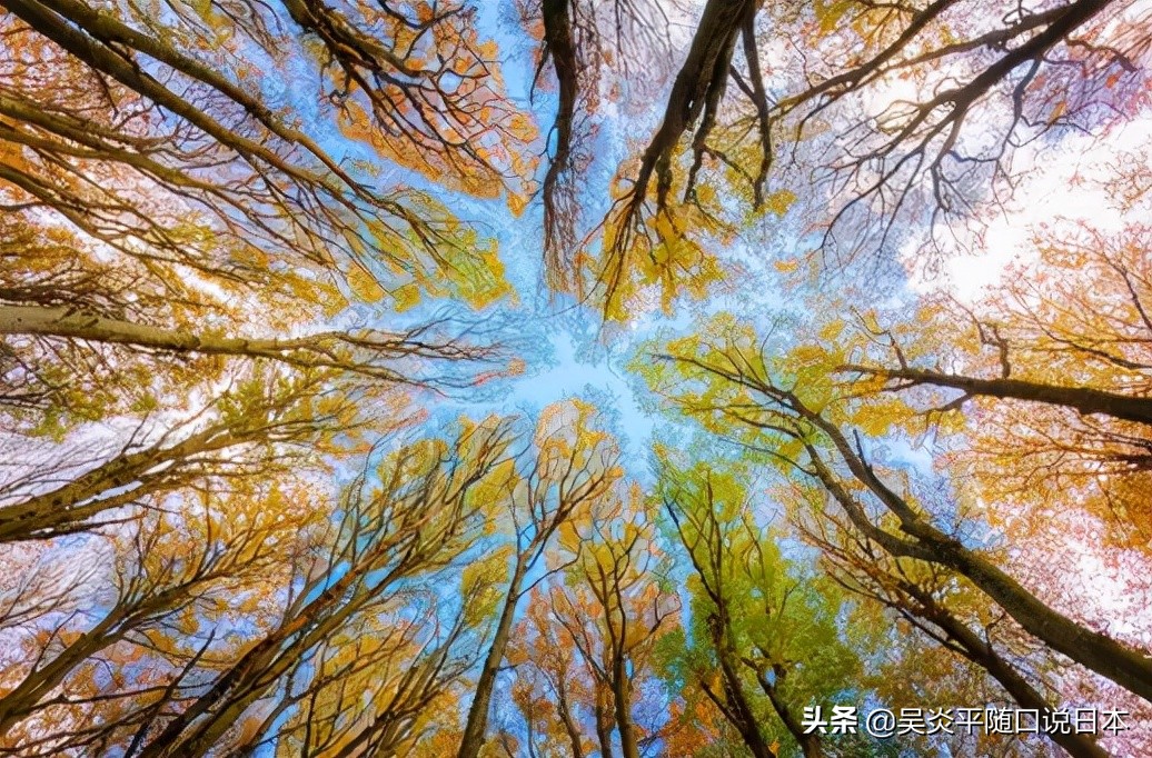 法律职业资格考试奇葩题,趣味事业单位考试