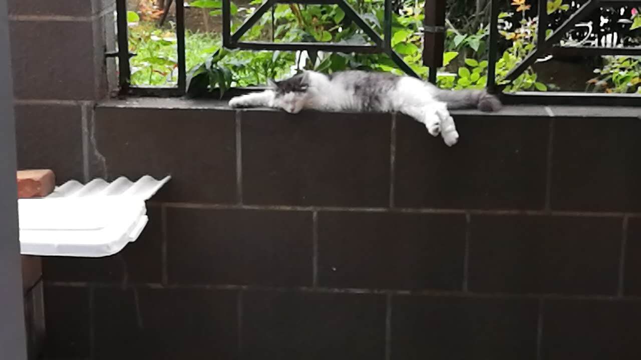 北京周边租小院玩,想在附近租小院怎么找