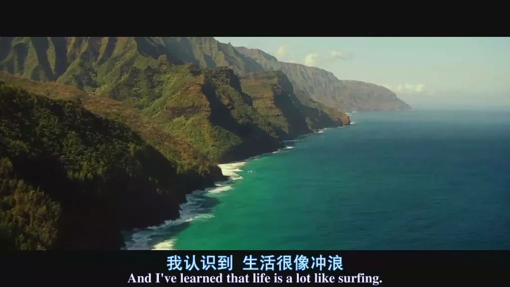 当遇见鲨鱼该怎么逃生,当在海里遇到鲨鱼怎么办