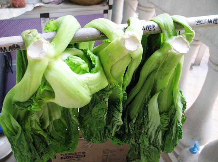 腌酸菜时盐放多了咋办,东北腌酸菜怎么腌不坏