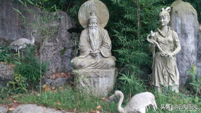 药王谷传奇（49）药王谷珍爱生命*界无**，茅草根不惧风火霜雪