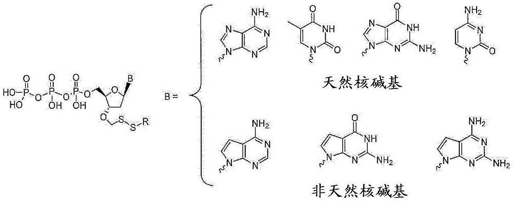 治疗乙肝一线核苷酸类抗病毒药,治疗乙肝核苷类药物新药