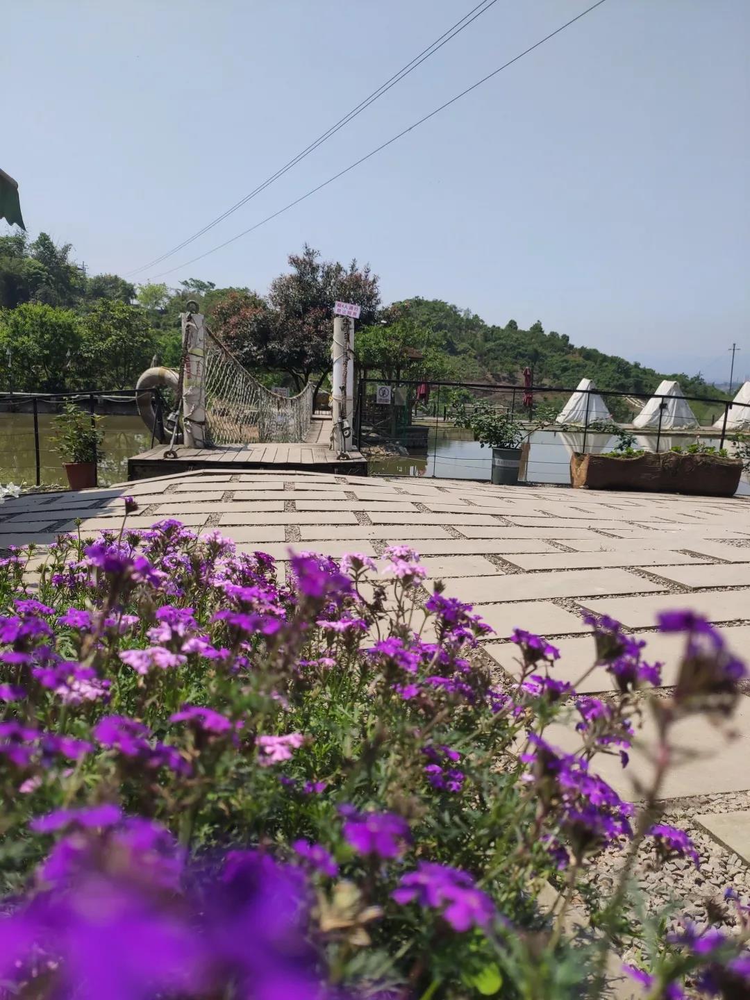 重庆疫情去哪旅游合适些,重庆疫情2020适合去旅游吗