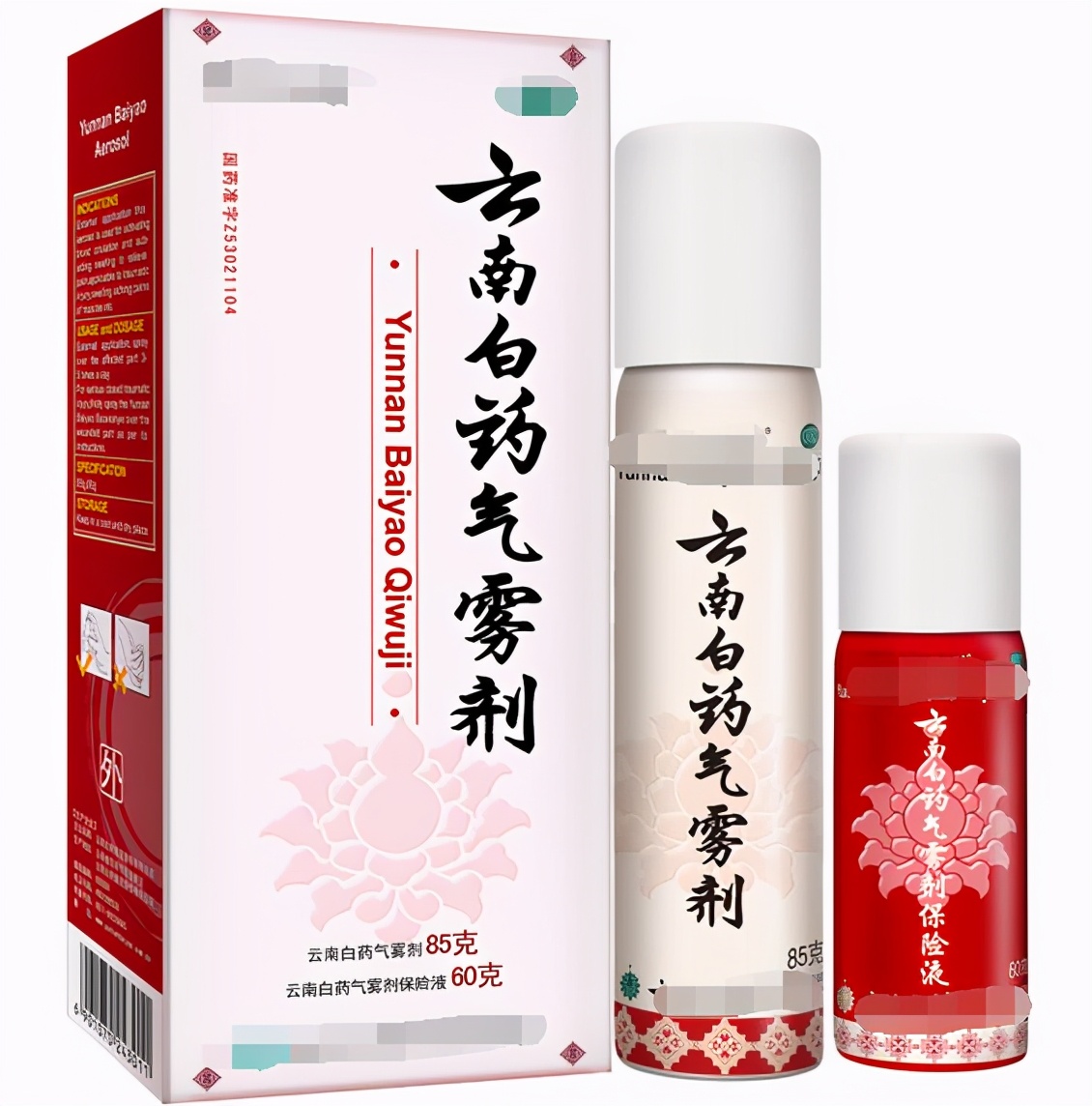 什么中成药对过敏性鼻炎有效,治感冒鼻炎的两种中成药