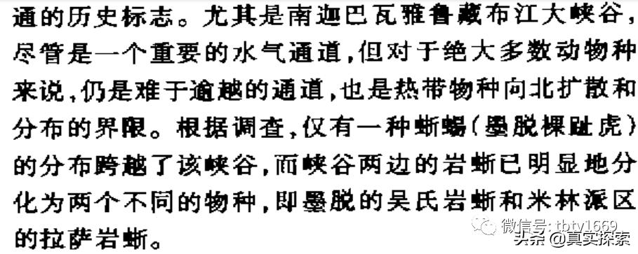 雅鲁藏布江大峡谷秘密,雅鲁藏布江大峡谷大瀑布