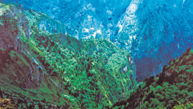 阳光景区附近的美食,阳光福地茂县路灯