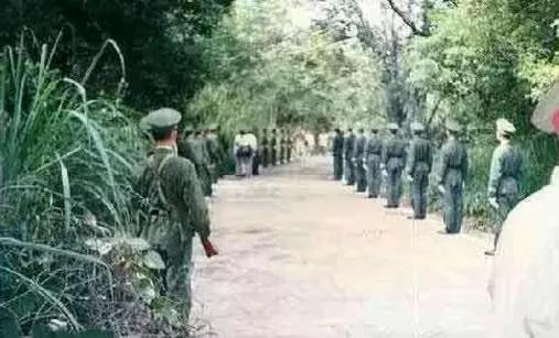 对越自卫反击战越南怎样对待俘虏,对越反击战中的越南兵