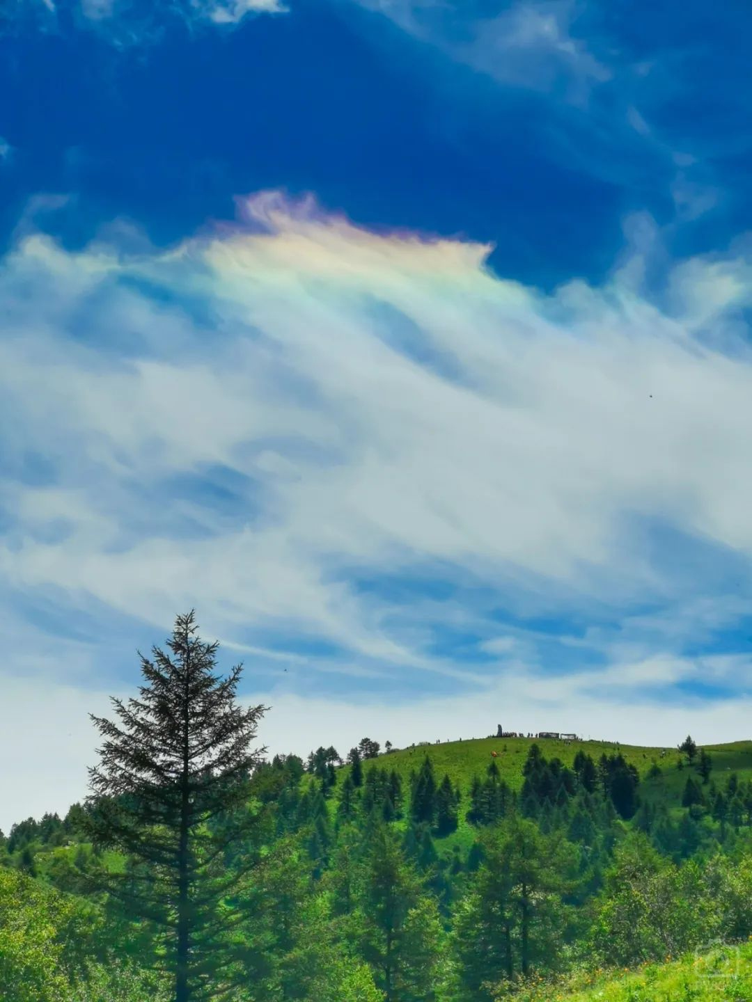 徒步穿越北驼梁完整版,穿越花海古道游记