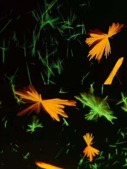 终局之战！！“光影化境”悦昌行杯摄影大赛复赛等你投票~