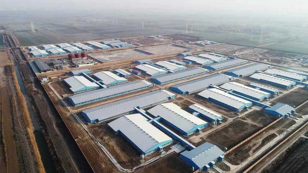 「食业领军企业访谈」刘畅：创建生态和谐的世界级农牧企业