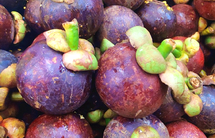 挑山竹要挑果壳硬的还是果壳软的,山竹是果壳比较硬好还是果壳变软