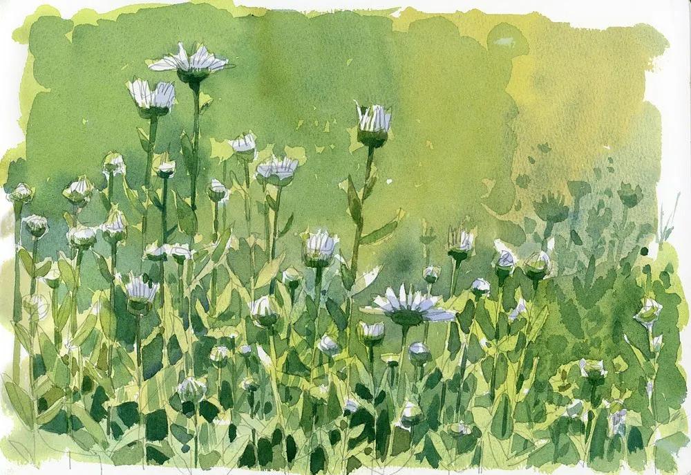 酣畅淋漓的水彩,酣畅淋漓水彩