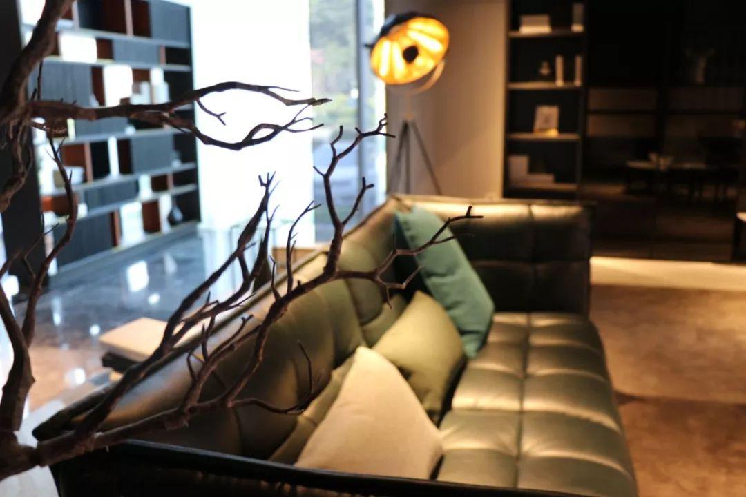 斯帝罗兰沙发极简风,斯帝罗兰哪款沙发最推荐