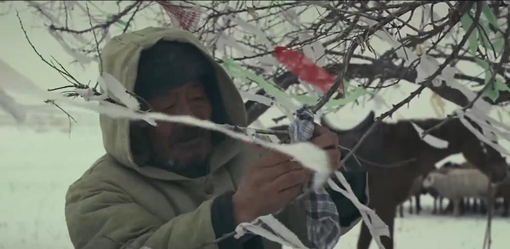 75岁老头被狼群追杀徒手大战狼群,放羊老汉遭遇狼群