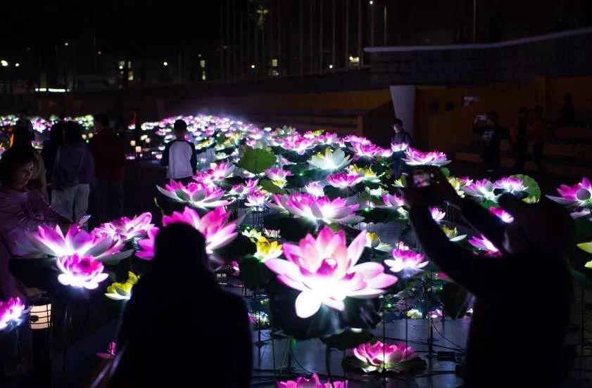 早读安徽||不礼让斑马线，安徽181台公务车辆被曝光