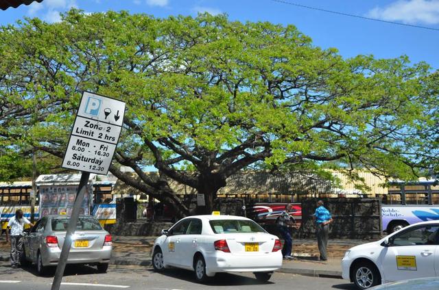 毛里求斯路易港市中心,毛里求斯路易港海底漫步