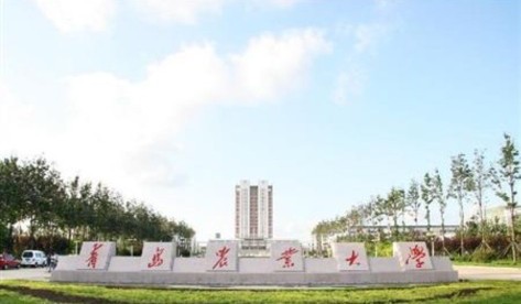 普通二本与专科院校,含高职哪个好?实话告诉你,该如何选择