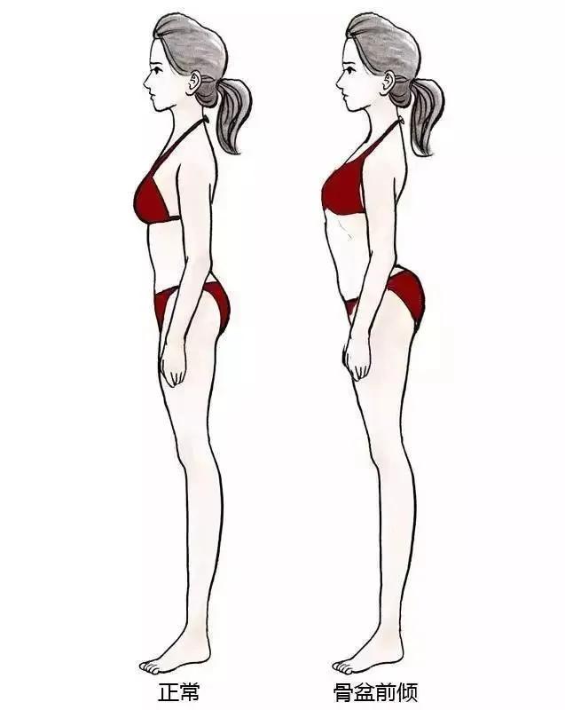 体育战“疫”|瑜伽骨盆正位居家训练课程