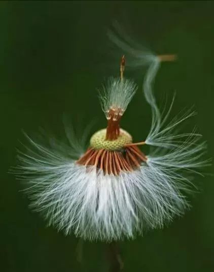 与儿子在家聊天,与儿偶遇诗句