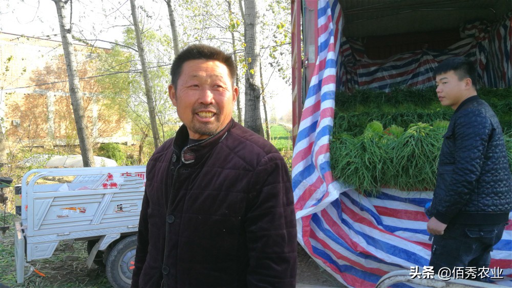 在农村种植没销路,在农村种地挣钱不