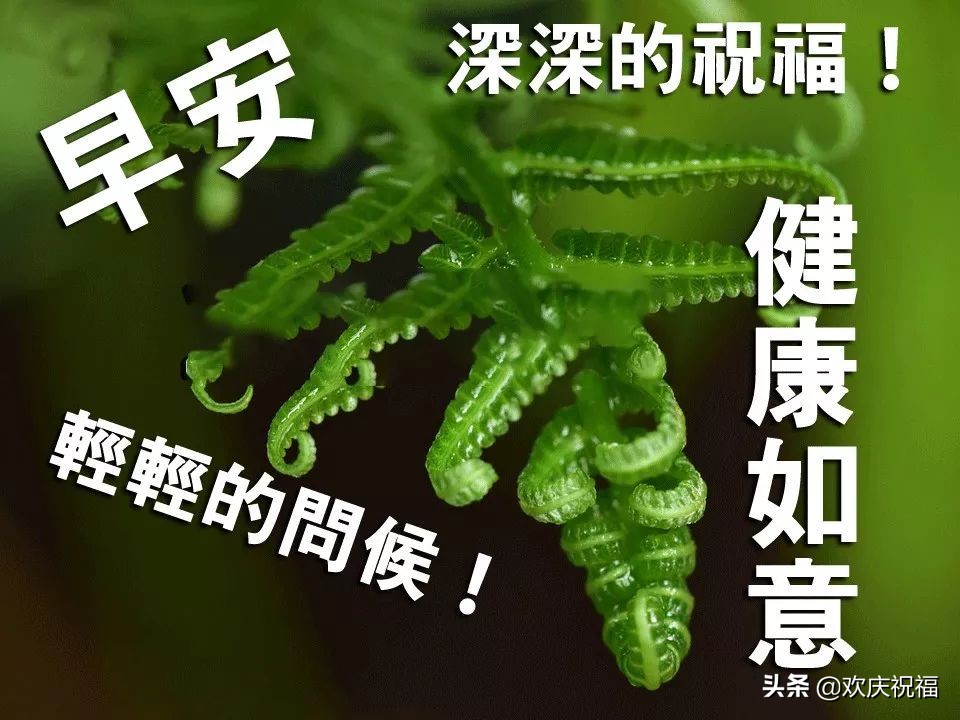 特别漂亮的早上好图片清晨问候语,早上好清晨的问候祝福语漂亮图片