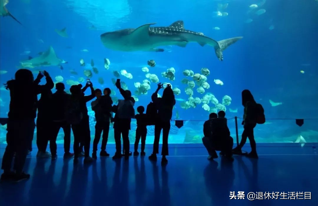 珠海浪漫出行,珠海很浪漫的城市