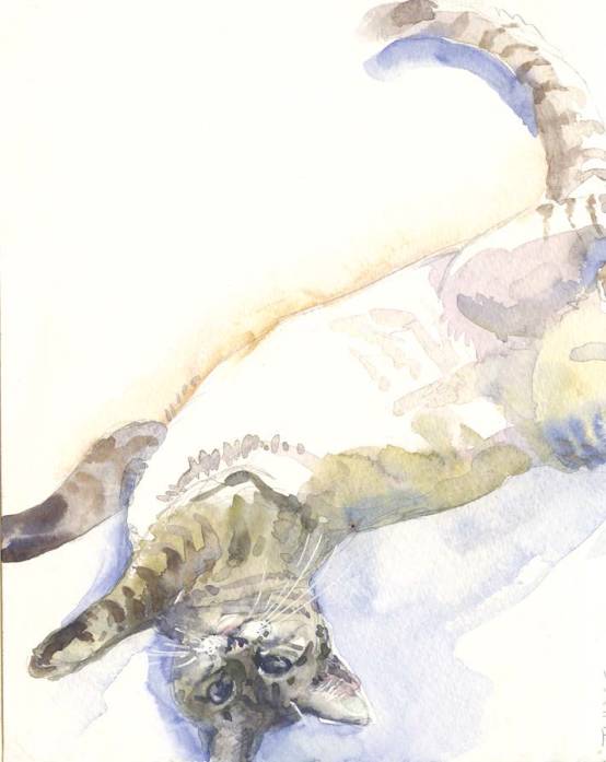 水彩绘画用的纸,水彩绘画用的画笔