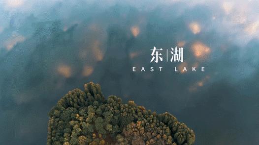 汉马现场直播,汉马直播频道