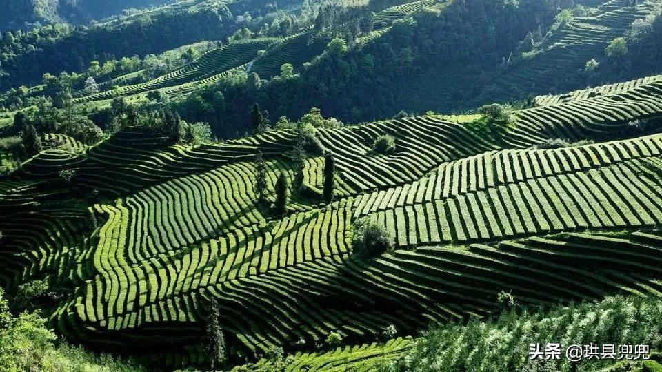 珙县孝儿、洛亥、上罗、玉和....全县都在做这样一件事情