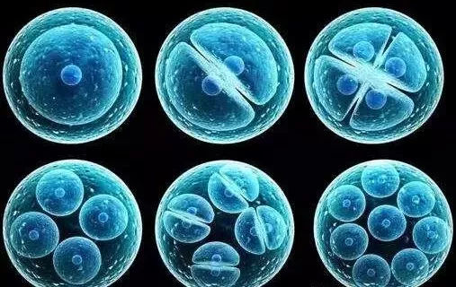 张嘉译不死的癌症,张嘉译为什么放弃治疗