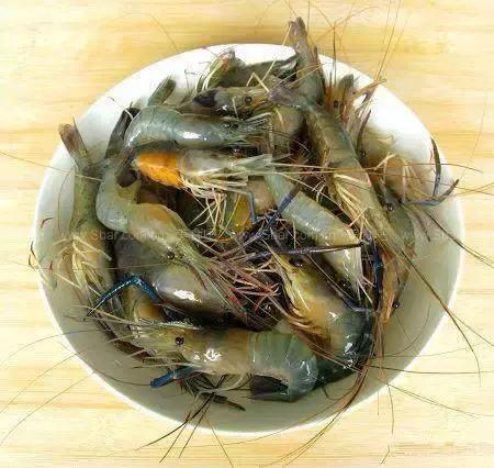 渔民海鲜大全,渔民整理的海鲜河鲜大全