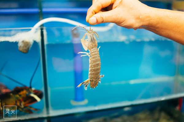 坐轮船多少钱三亚,去三亚坐轮渡7座车多少钱