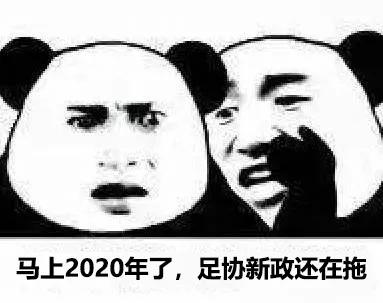 越南足协制定进军世界杯目标,越南足协回应亚洲杯决赛