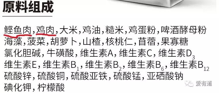 毛孩子偷吃东西被发现,毛孩子吃东西被发现了
