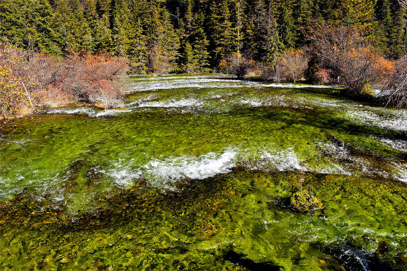 置身于童话中的九寨沟,畅游人间仙境黄龙九寨沟七日游
