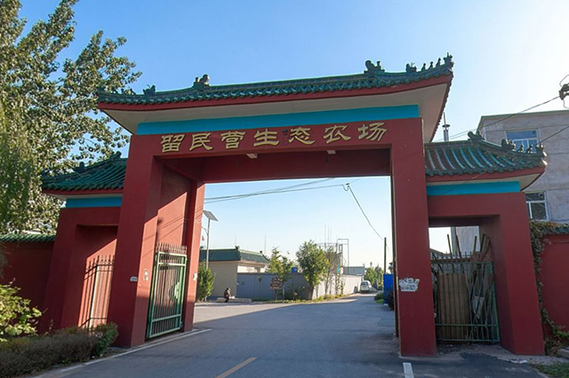 北京现在采摘园有什么可以摘,北京采摘园哪个最好玩