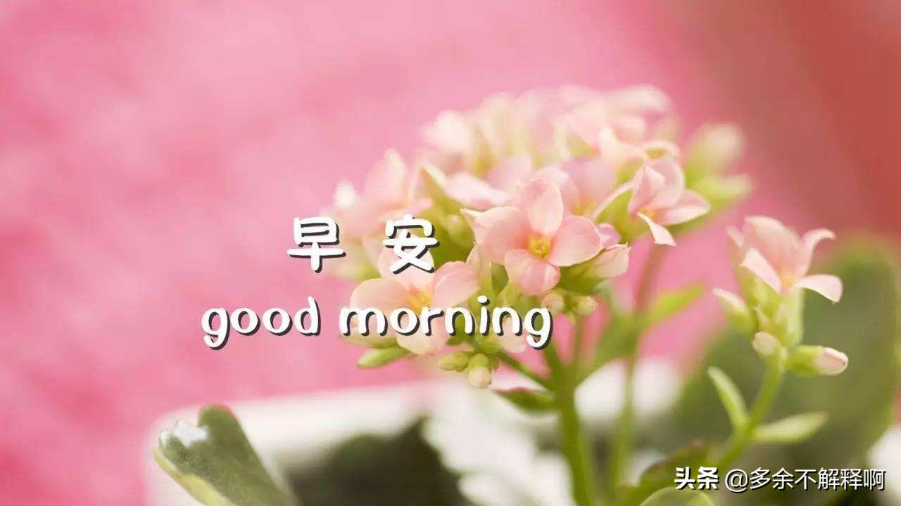 经典微信说说语句心情短语,微信说说句子大全简短唯美