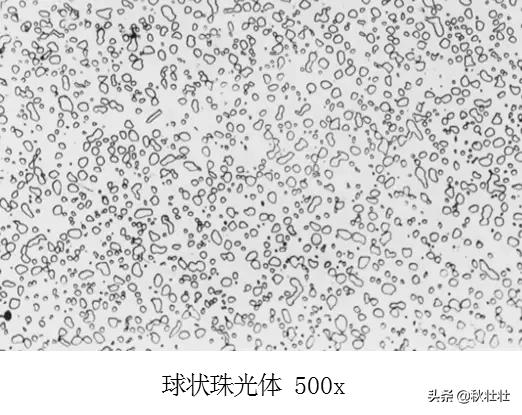 马氏体和奥氏体金相图片,马氏体和珠光体金相区别