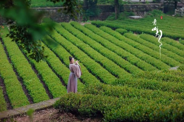 杭州免费古装取景地,杭州最适合拍仙侠古风的地方