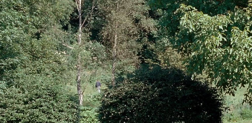 尺度全开的禁忌恋，探究的却是人性和人心