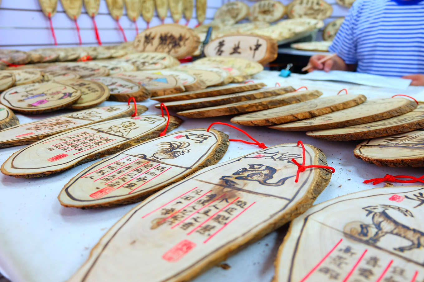 骆驼青岛,骆驼旅行在路上