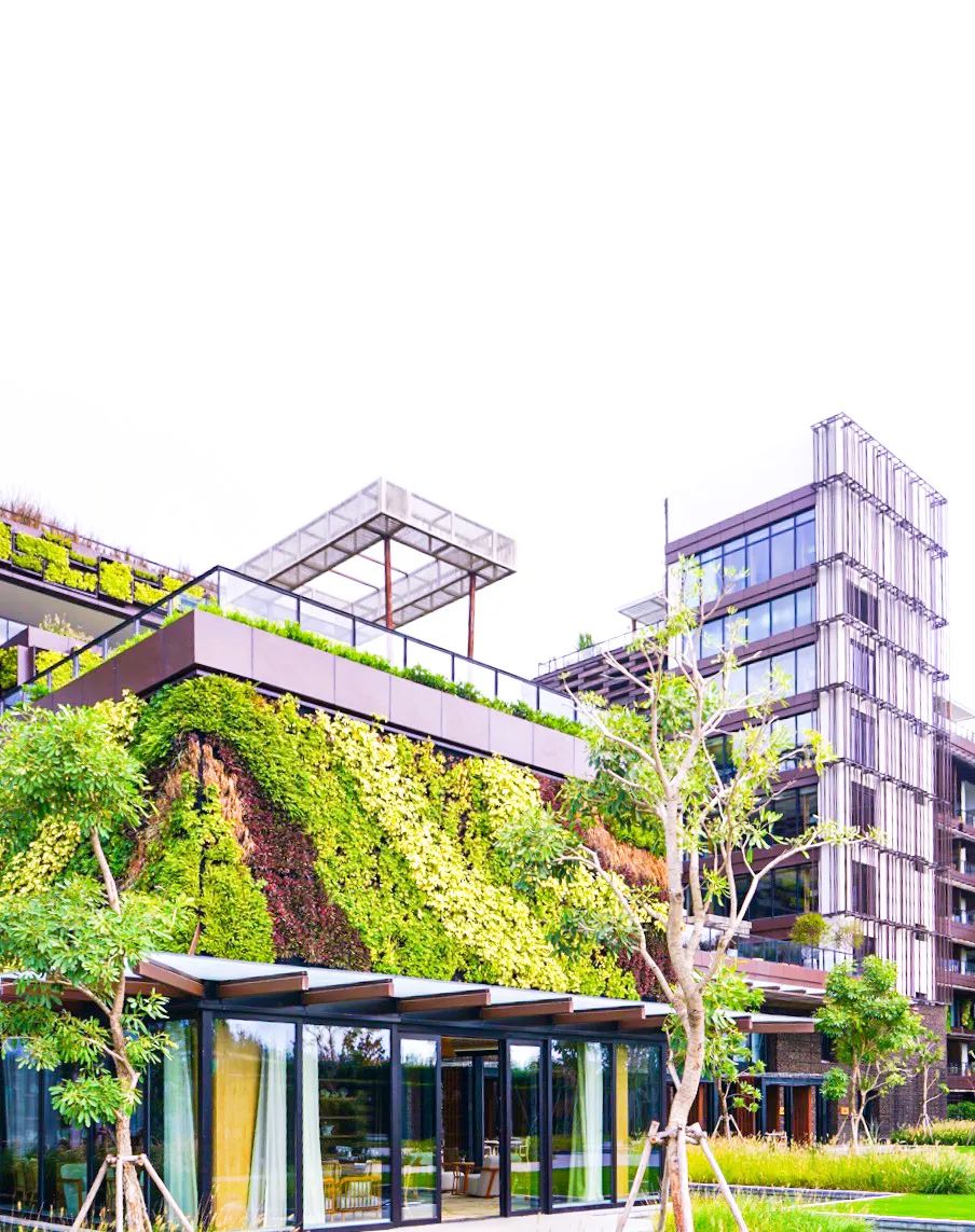 三亚这家酒店超适合度假,三亚环保酒店