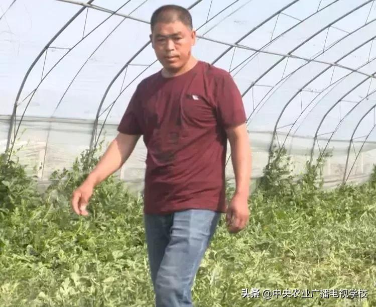 卖小西瓜技巧,卖西瓜小妙招