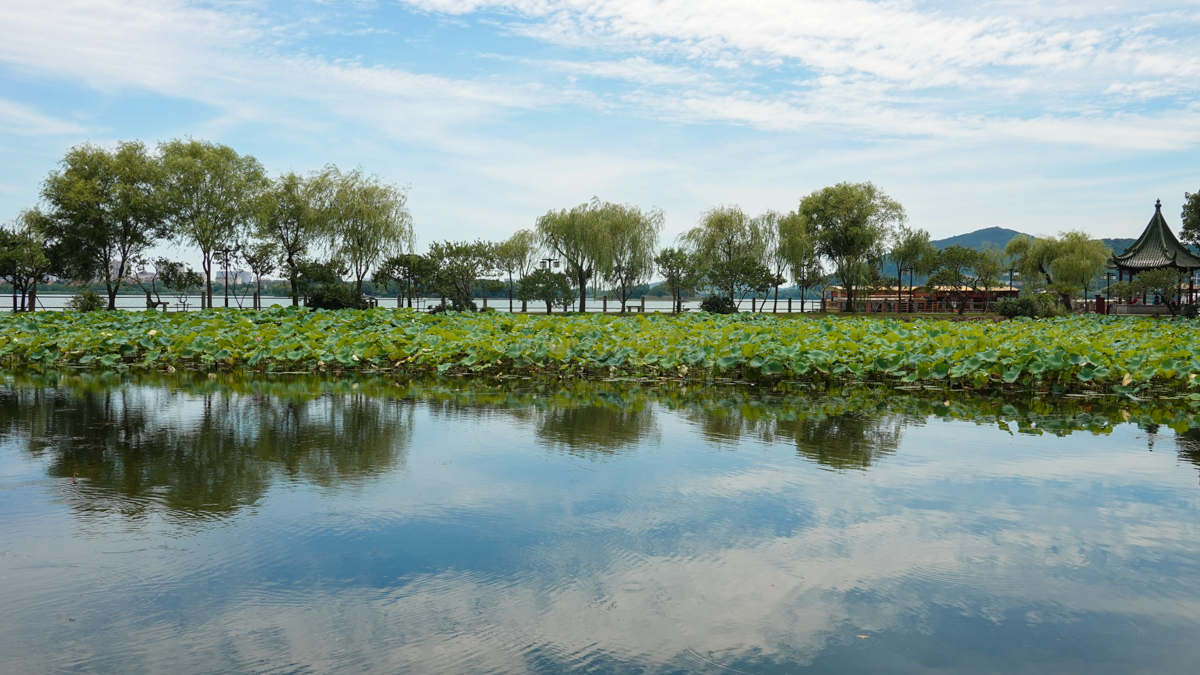 无锡的蠡园和梅园风景真的好,藏在无锡太湖湖畔的江南园林