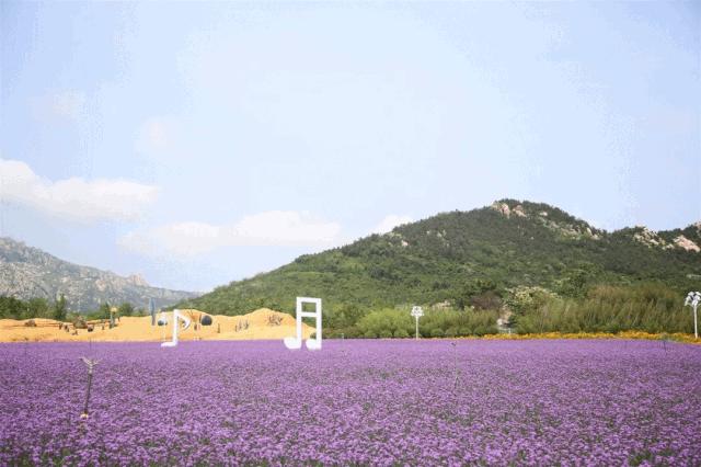 青岛西海岸新区啤酒节门票,33届西海岸啤酒节一日游